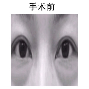 ۲֬ǰ(du)Ƭ