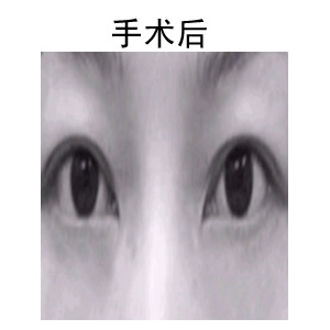 ۲֬ǰ(du)Ƭ