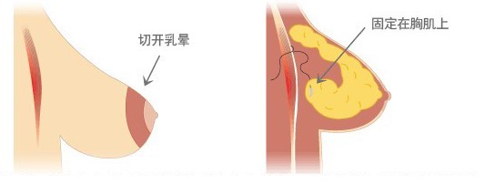 鷿´Cί}