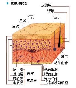 ʹwί(hu)ƉƤw|(zh)ӆ