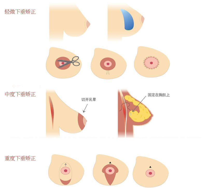 鷿´C