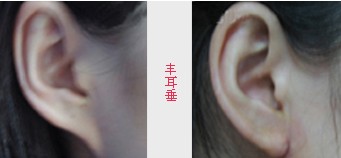 Sǰ(du)Ƭ