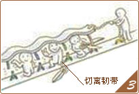 SMAS΢(chung)ӳg(sh)ʾDȥƤwSMASĤ